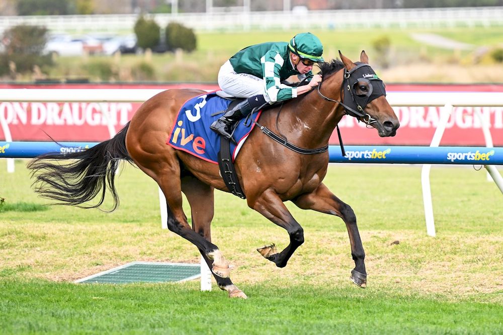 Tycoon Star set for ‘Reserve Bank’ path in Goodwood bid post image