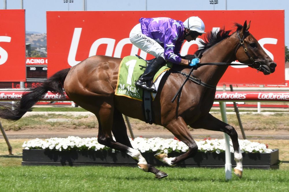 Tasmanian standout targets All-Star Mile post image