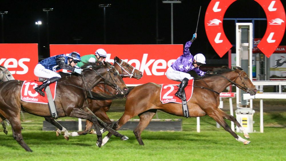 Steve Christie’s Launceston Tips: Plan of attack for Wednesday night racing post image
