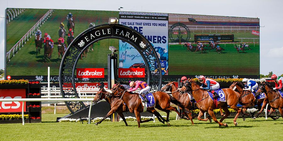 McGrath review: Punters shunned as RQ gets a new home post image