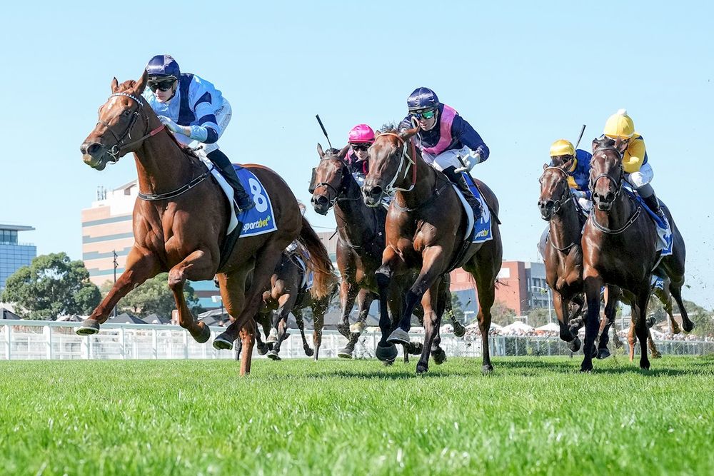 Buy Hold Sell: Who to follow and who to sack after Caulfield post image