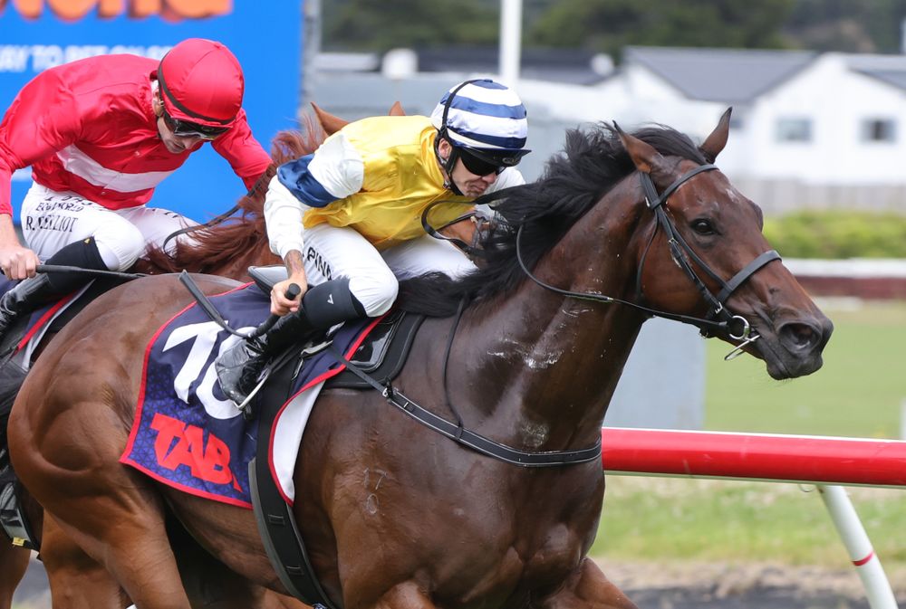 Betsy's Best: Te Rapa post image