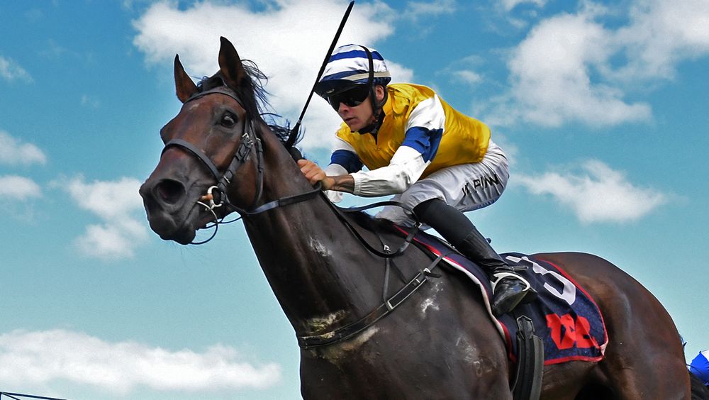 Home-track heroics as First Five downs Aussies in BCD Group Sprint post image