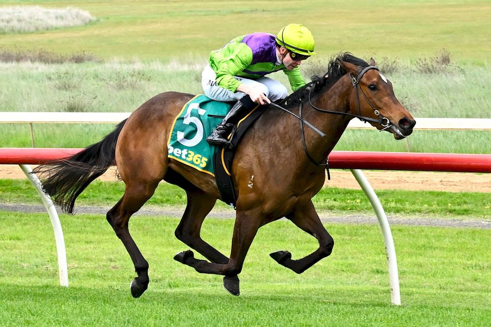 Former Snowden foreman takes bold Guineas shot with Star Of Omaha post image
