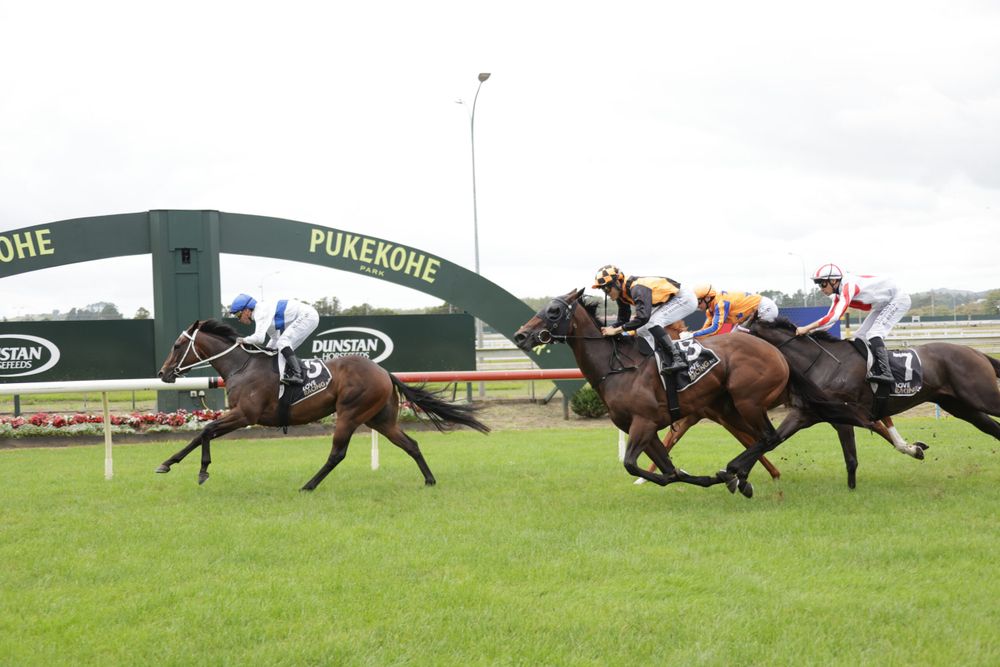 Trentham Saturday Preview: NZ Trial Watcher’s key plays post image