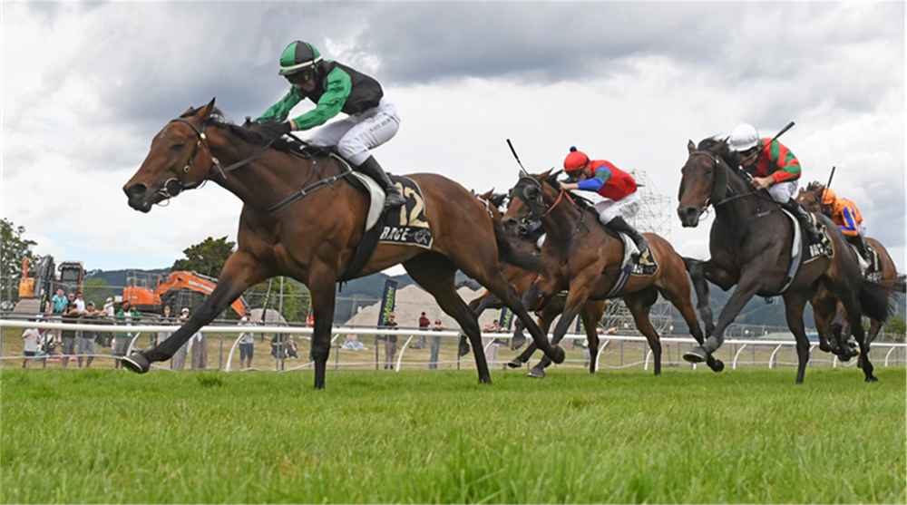 NZ Trial Watcher: Key performers from Foxton and Cambridge trials post image