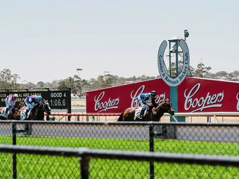 Bookies bail on Gawler over standoff post image