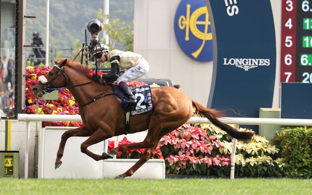 In The Lab: 2025 Hong Kong Vase post image