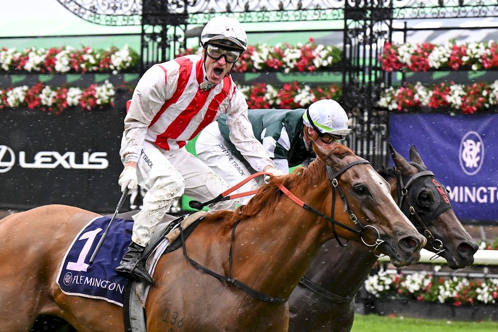 All Aged Stakes loaded: $81m field of stars collide post image