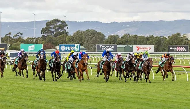 Racing must lean into punters, not fight them post image