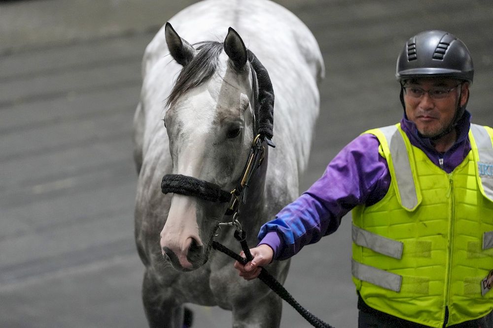 From Chukyo to Caulfield: Hamanaka’s Aussie debut with a $5M ride post image