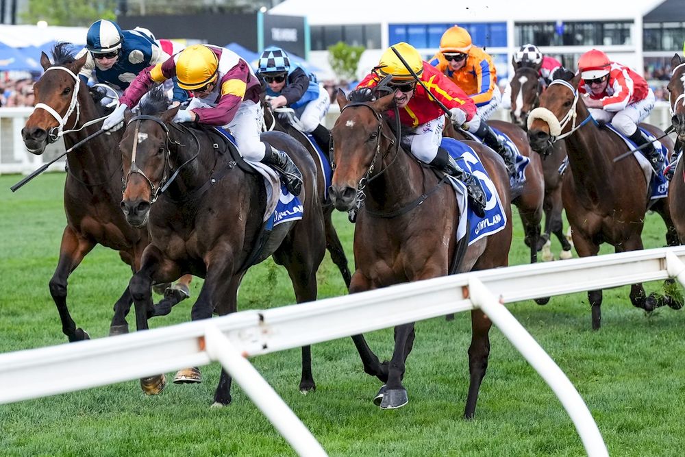 Beaten Group 1 jockeys: Victoria post image