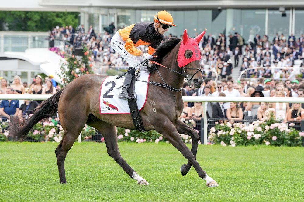 Patience pays? Begg unleashes Maharba and Samangu in Flemington return post image