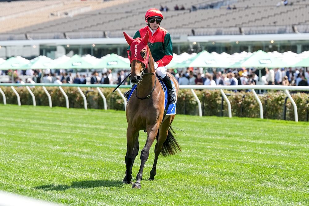 McEvoys' last-ditch Millions push post image