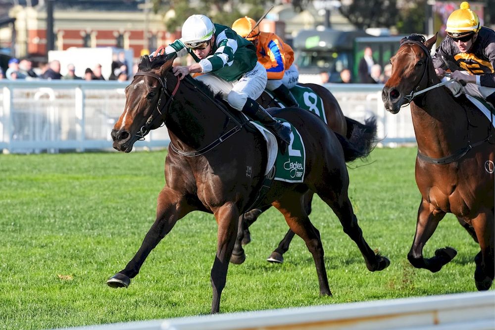 Sydney jockeys outnumbered as raiders invade TJ Smith Stakes post image