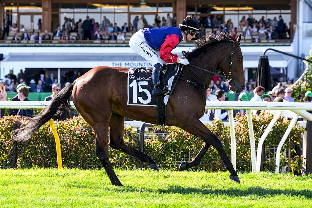 Mad Monday: Turnbull Stakes post image