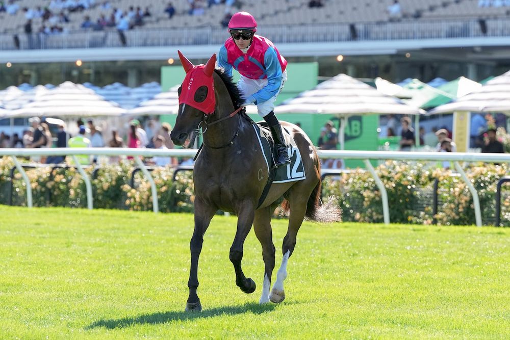 Spring blow for Headwall post image