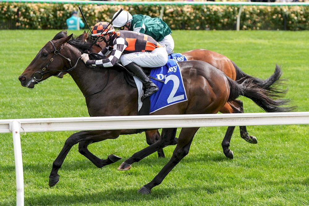 Bennett eyes Magic Millions glory post image