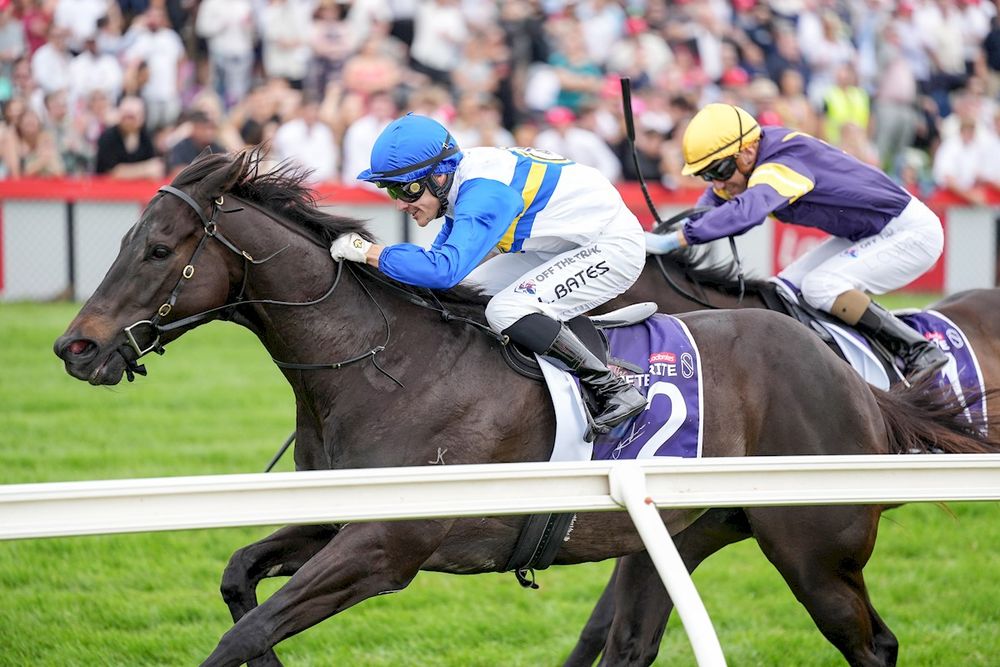 Jigsaw set for NZ Group 1 tilt post image
