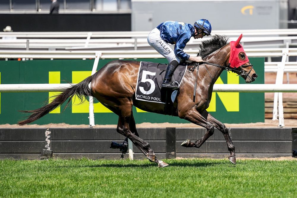 A 10-horse stable, a handy filly and an Oaks dream for Tom Carberry post image