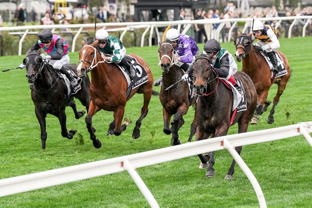 Good Will Hunting: Turnbull Stakes post image