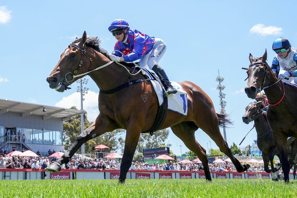 Will Elford’s Blue Diamond rankings post image