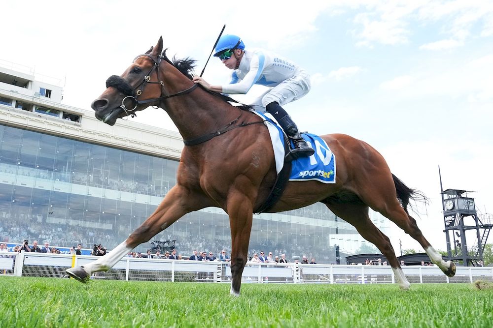 Matt Dale targets multi-state Stakes success post image