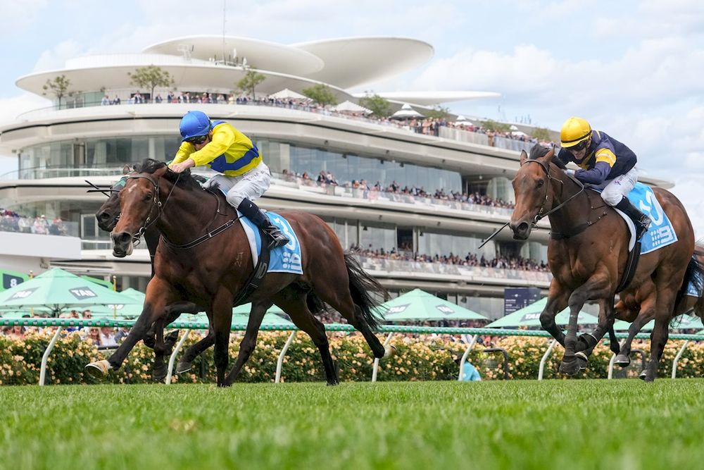 In The Lab: 2025 Northerly Stakes post image