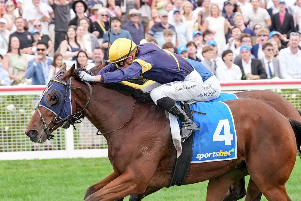 Lindsay Park duo primed for Mornington Cup post image