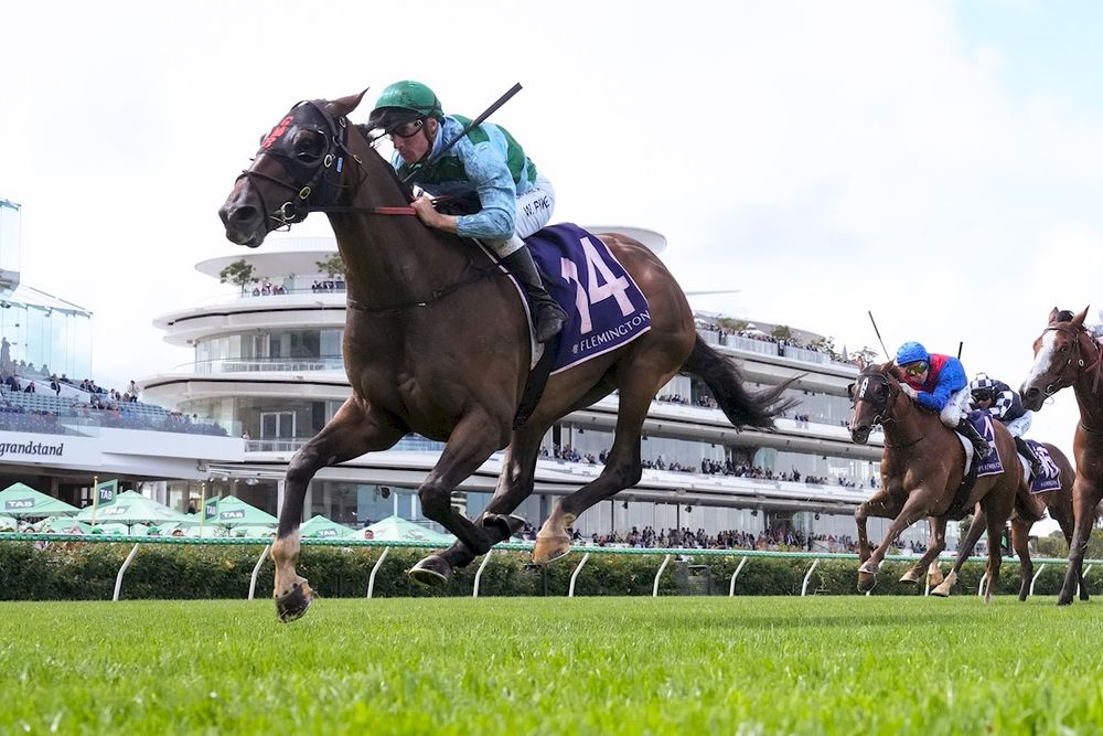 Buy, Hold, Sell: Australian Cup Day delivers a proper racing spectacle post image