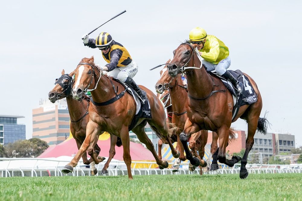 Price-Kent plot Redelva assault with Goodwood hopefuls post image