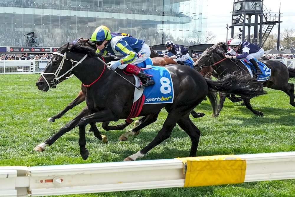 Brayden Star set for New Zealand staying raid post image