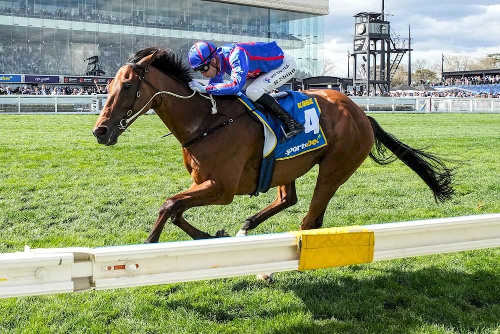 Injury cloud for star ahead of Cox Plate post image