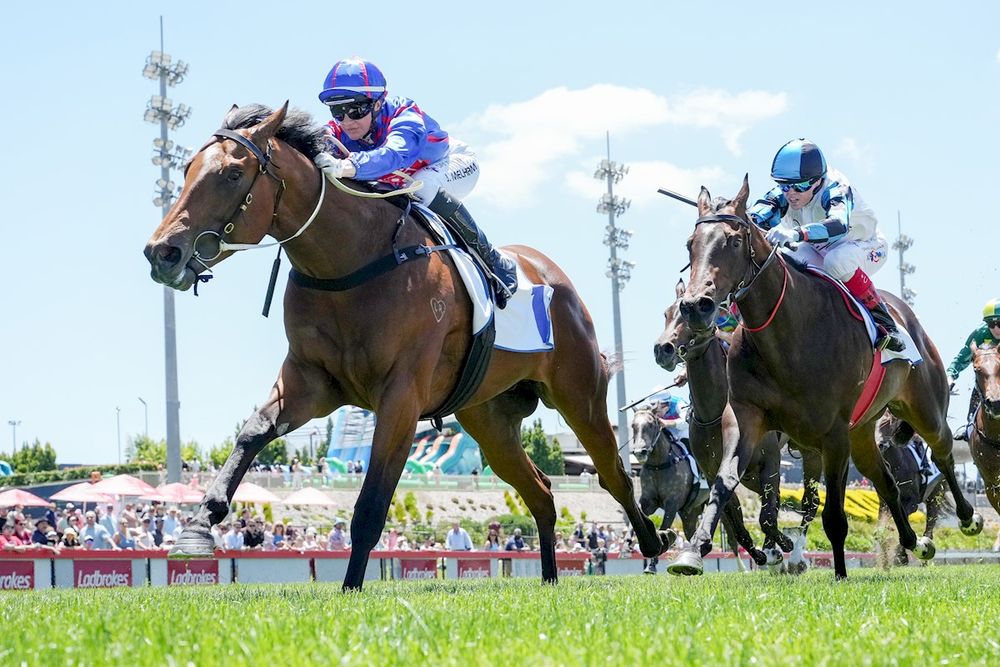 In The Lab: 2026 Blue Diamond Stakes post image