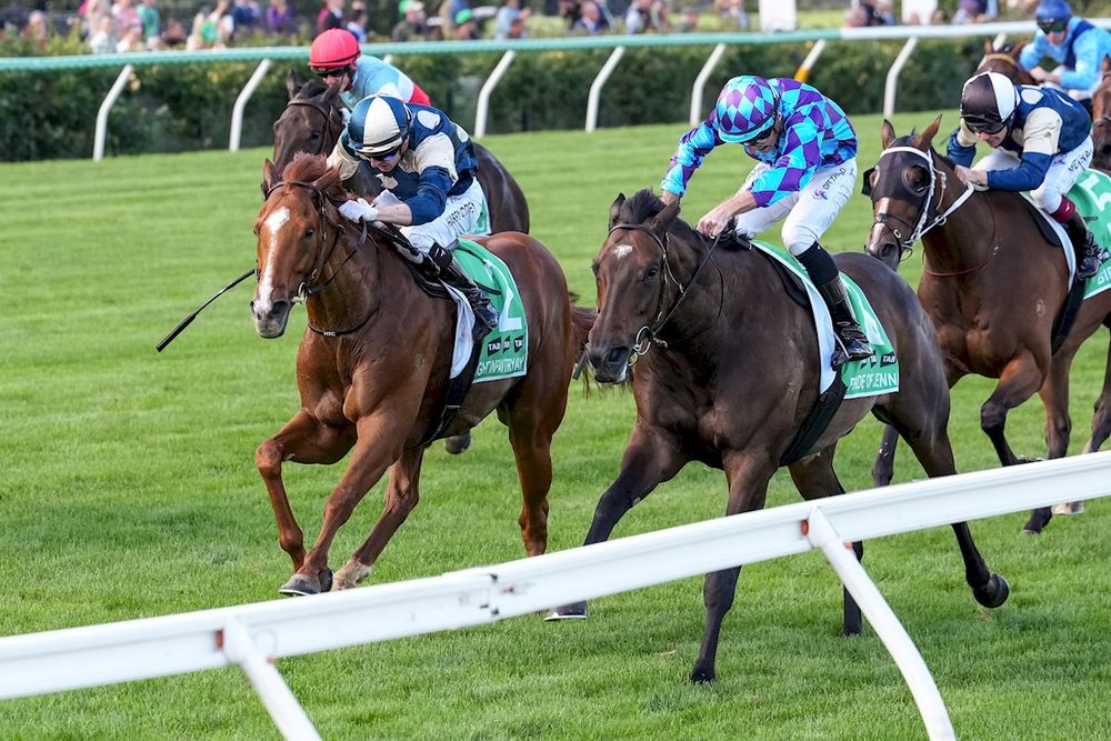 Group 1 Australian Cup: Beaten jockeys post image