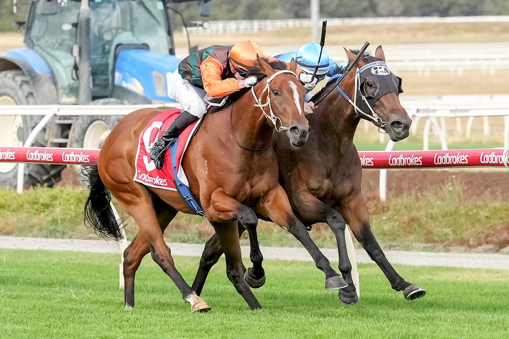 Nolen suspended for post-race clash post image