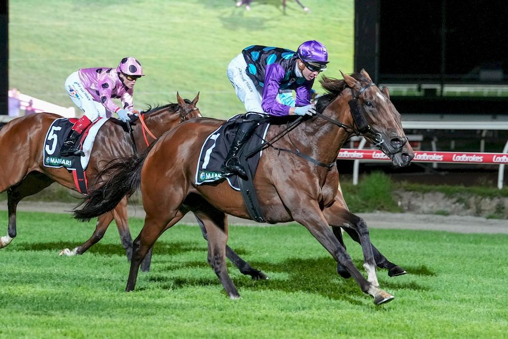 $2500 buy delivers dream Stakes win post image