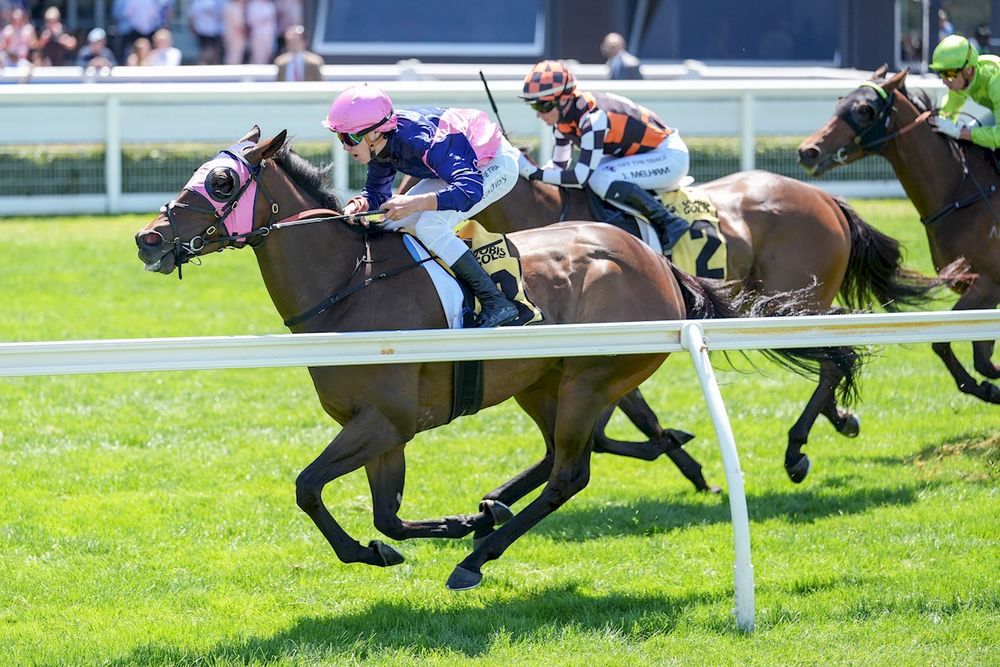 Harsh or fair? Stewards tell Melham her ride 'lacked the judgement expected from a rider of her standing' post image