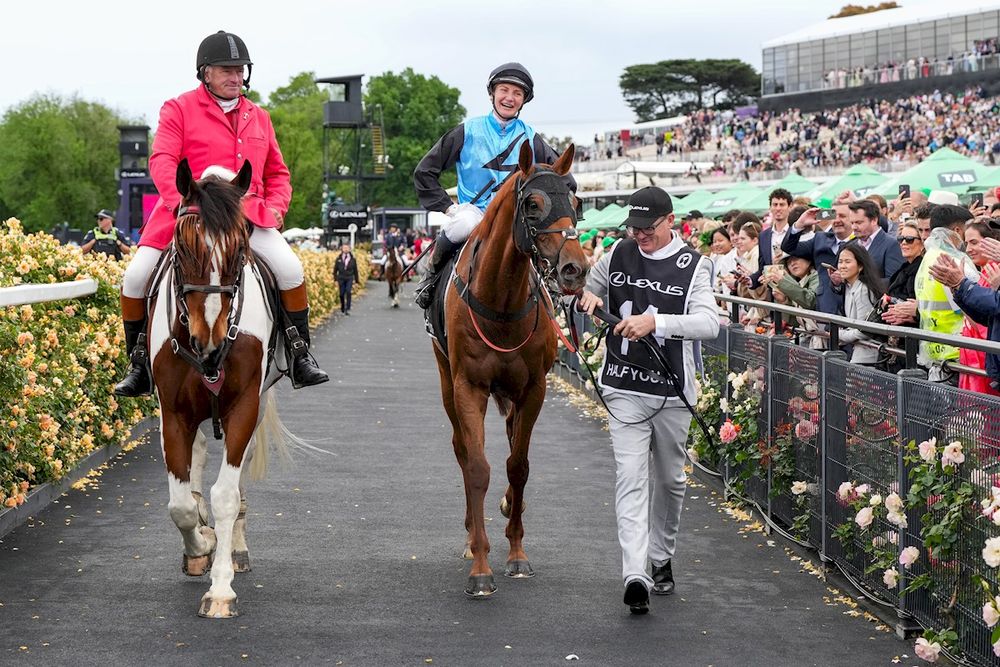 Cup hero and rising star on course for Queensland winter post image