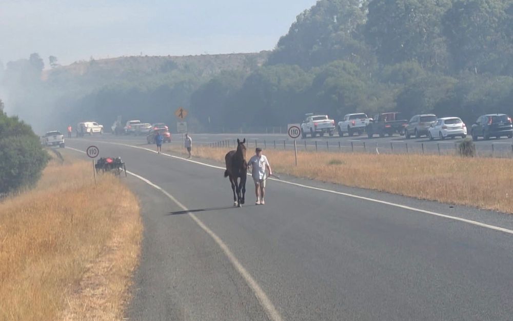 Fire, smoke, chaos: Highway horror before Cranbourne Cup epic post image