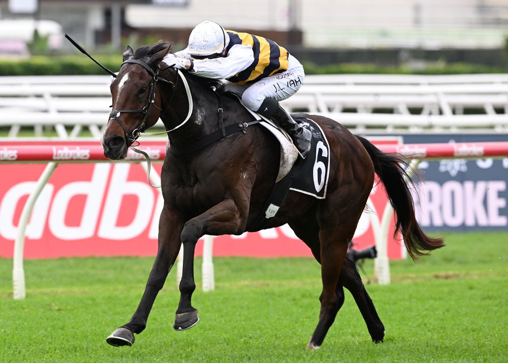 Group One performer Hezashocka has returned to New Zealand post image