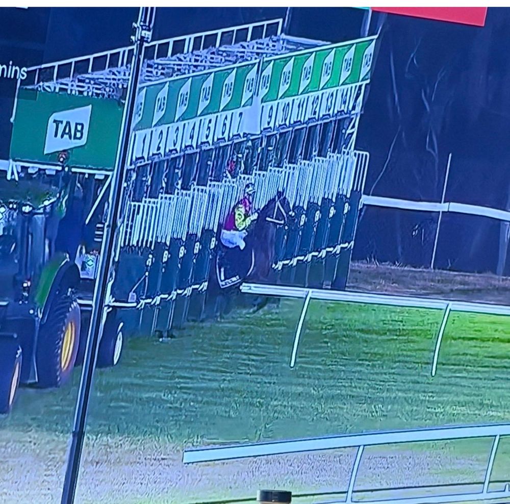 Fair start or farce? Barrier drama sparks outrage post image