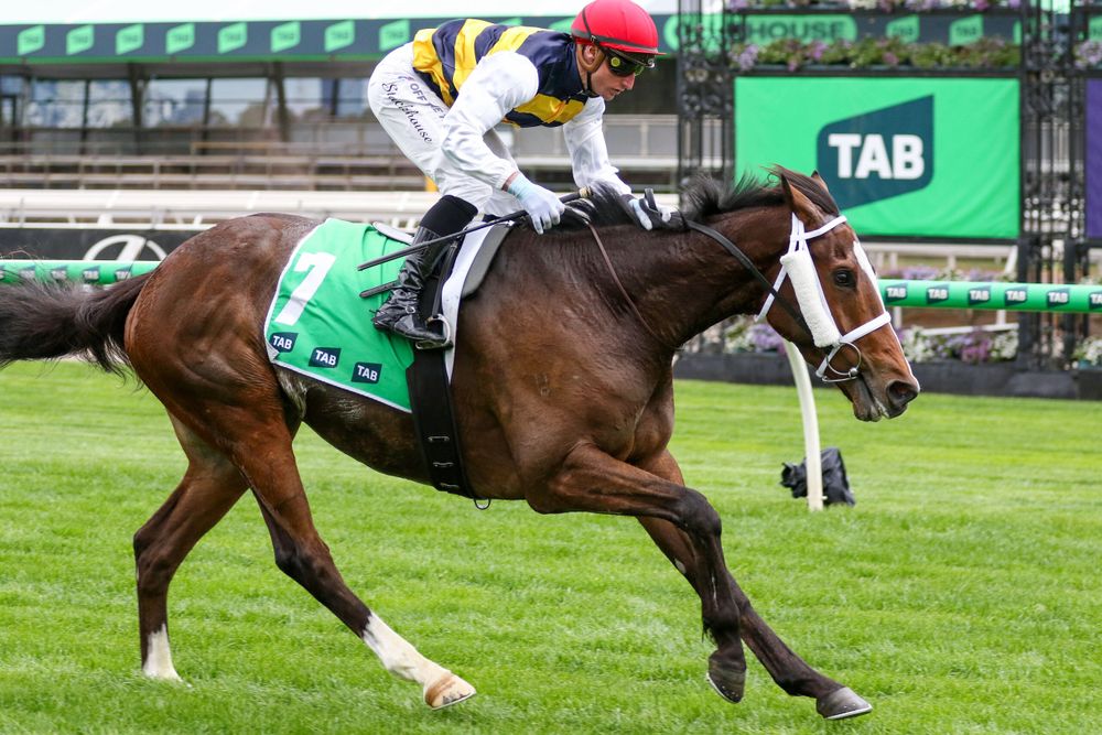 Adelaide Cup Runner-by-Runner: Breaking down the 3200m feature at Morphettville post image