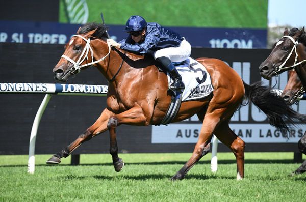 Deano's Crystal Ball – Golden Slipper futures play post image