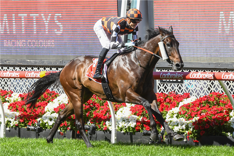 Mad Monday: Moir Stakes Day post image