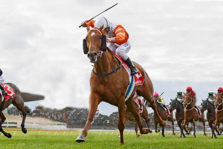 Betsy's Best - Sandown post image