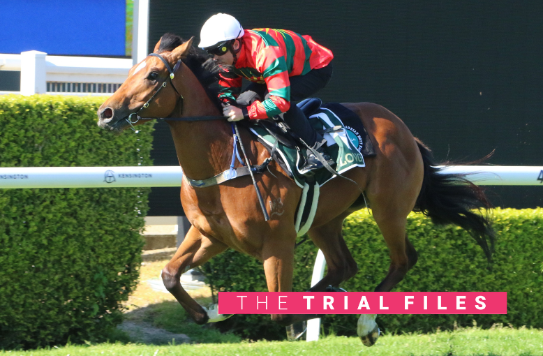 Dean Watling's NSW trial report post image