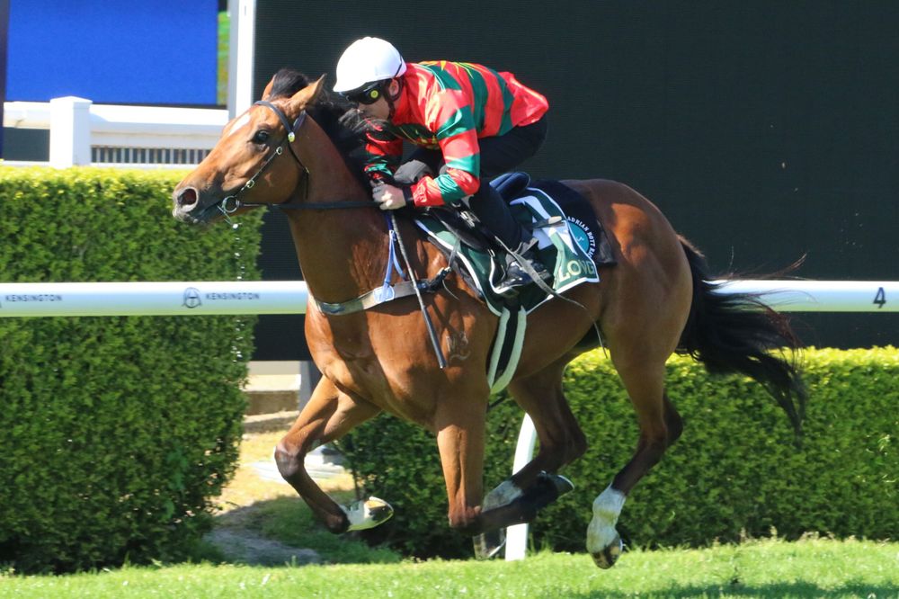 Striking Gold: Unlocking the Secrets of Barrier Trials post image