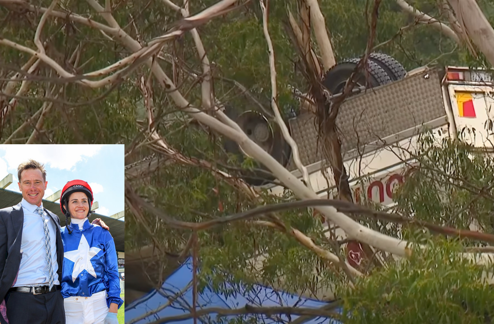 Payne stable pays tribute after truck driver, horses die in transport crash post image