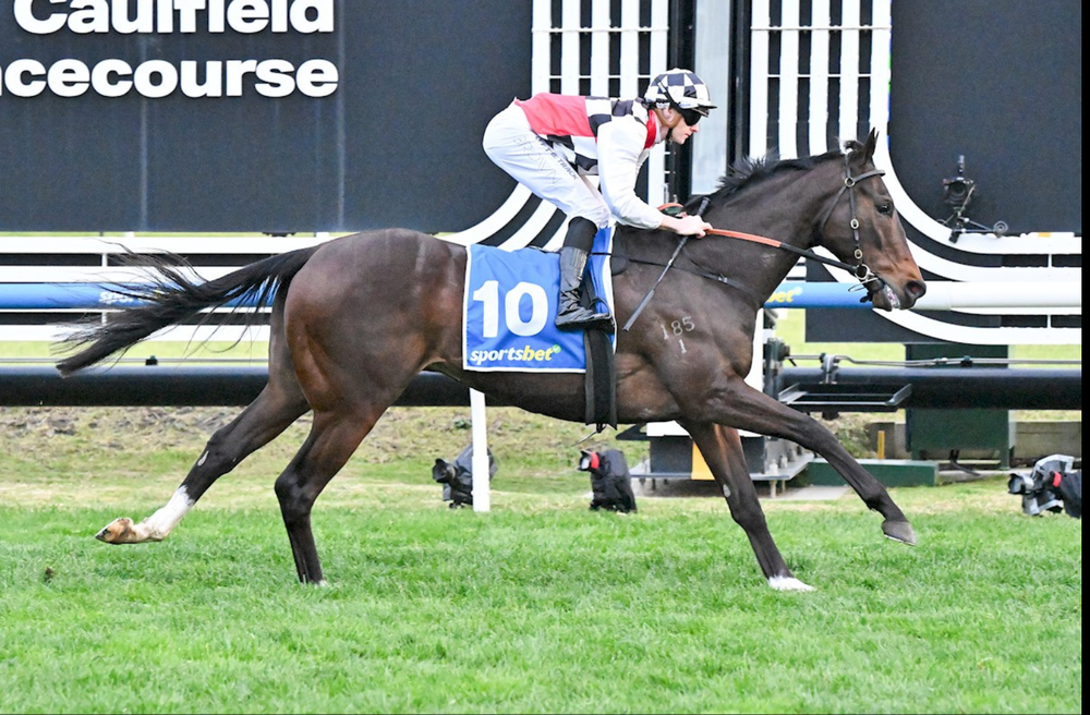 'Nothing went right': Sir Rupert Clarke beaten jockeys have their say post image